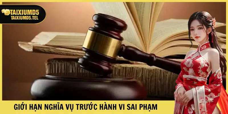 Giới hạn nghĩa vụ trước hành vi sai phạm